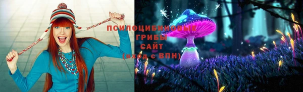 гашик Балабаново