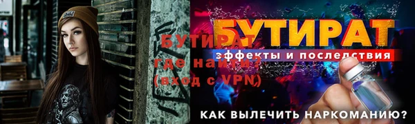 индика Каменка